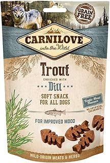 Carnilove Hund Car+Dog Soft Trout/Dill 200g product image