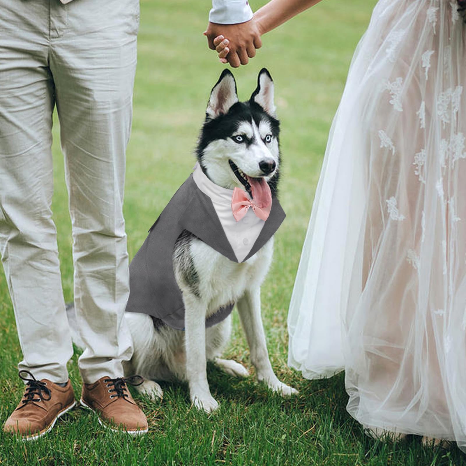 Kuoser Costume de Smoking pour Chien de Petite et Moyenne Taille, Chemise pour Chiot avec Nœud Papillon Rose Amovible, Chien Costume Formel pour Fête de Mariage Festival