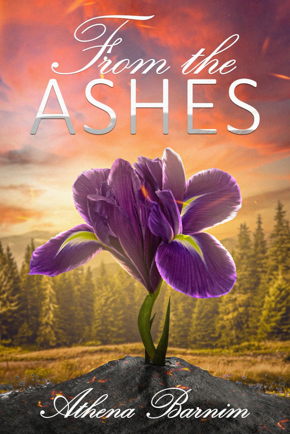 From the Ashes: 2 (Balsam River)