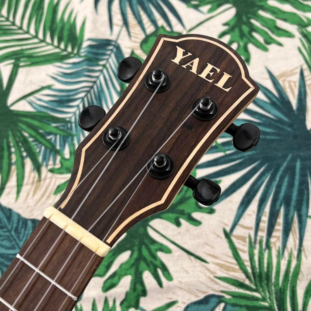 Amazon.co.jp: YAEL ukulele ローズウッド材のエレキ コンサート  