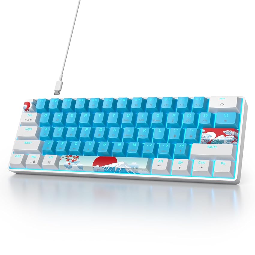 SOLIDEE tastiera da gioco meccanica al 60%,tastiera cablata compatta retroilluminata a LED RGB a 61 tasti con cavo USB di tipo C rimovibile,tastiera da con interruttore rosso lineare per Win(61 Blue)