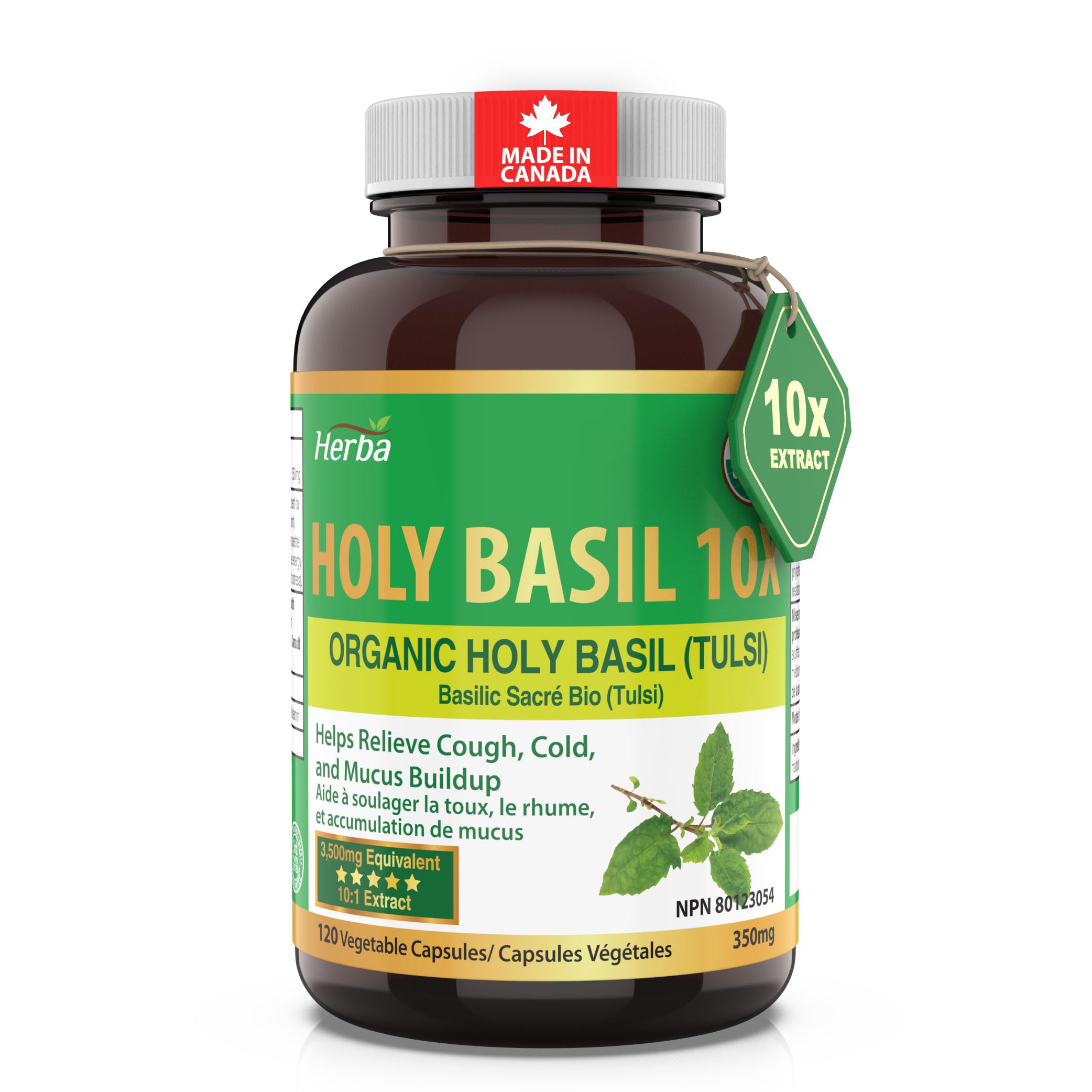 Herba Organic Holy Basil Capsules – 3,500mg Equivalent | 120 Vegetable Capsules | 350mg - 10:1 Extract | Tulsi Helps Relieve Cough, Cold, and Mucus Buildup | Made in Canada