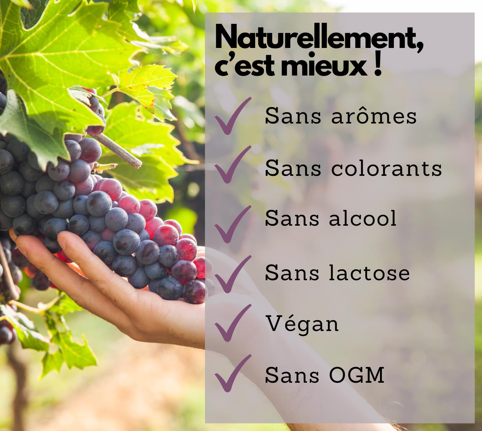 EXVital® OPC Extrait de pépins de raisin, 240 gélules, hautement dosé avec 500 mg par gélule, issu de raisins français, testé en laboratoire et vegan