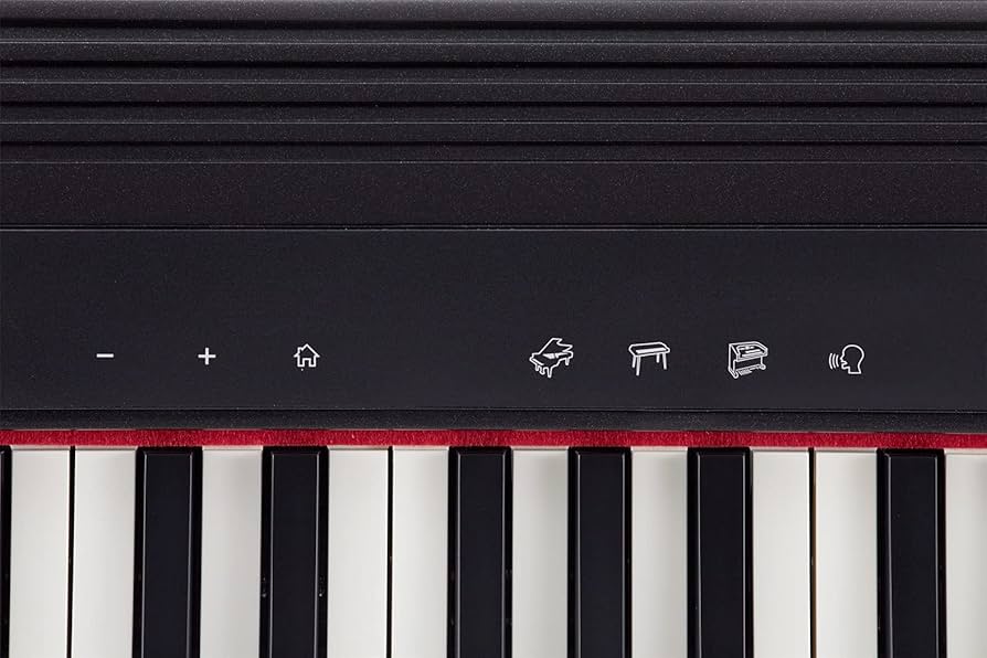 Roland GO-61P キーボード DP-2ペダルスイッチ付き GO-61P