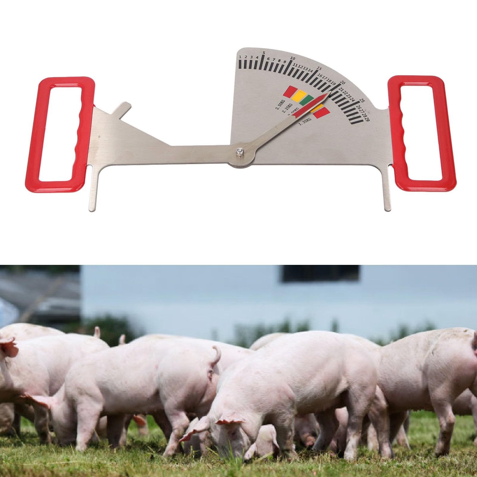 Naroote Regla de Gestión de Alimentación, Calibrador de Grasa Dorsal de Cerda Preñada de Acero Inoxidable, Calibrador de 5 Intervalos de Medición con Fácil Operación, Ideal para Uso en Granja