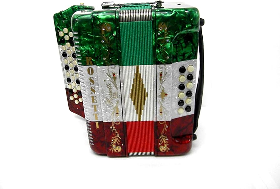 Amazon.com: Rossetti 34 Button Accordion 12 Bass, 3 Switch, Case