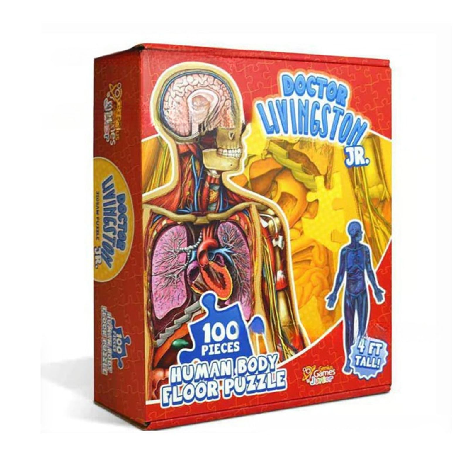 Introti Kids 4 FT Human Anatomy Floor Puzzle 100-Piece Full Body Jigsaw Puzzle Educational Toys for Children Toddlers Ages 6-10 Years Old