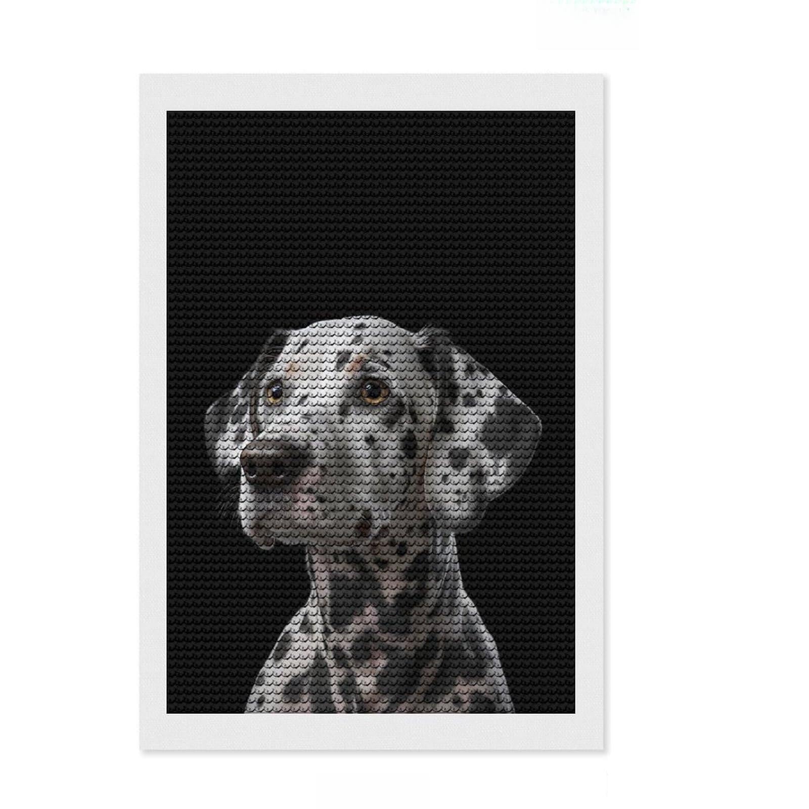 Junmoney Dalmatian Dog Portrait Diamond Painting Set 8"x12", Fun Craft Experience, Complete Accessories, Office Decor, Gift Idea, with Tool Kit