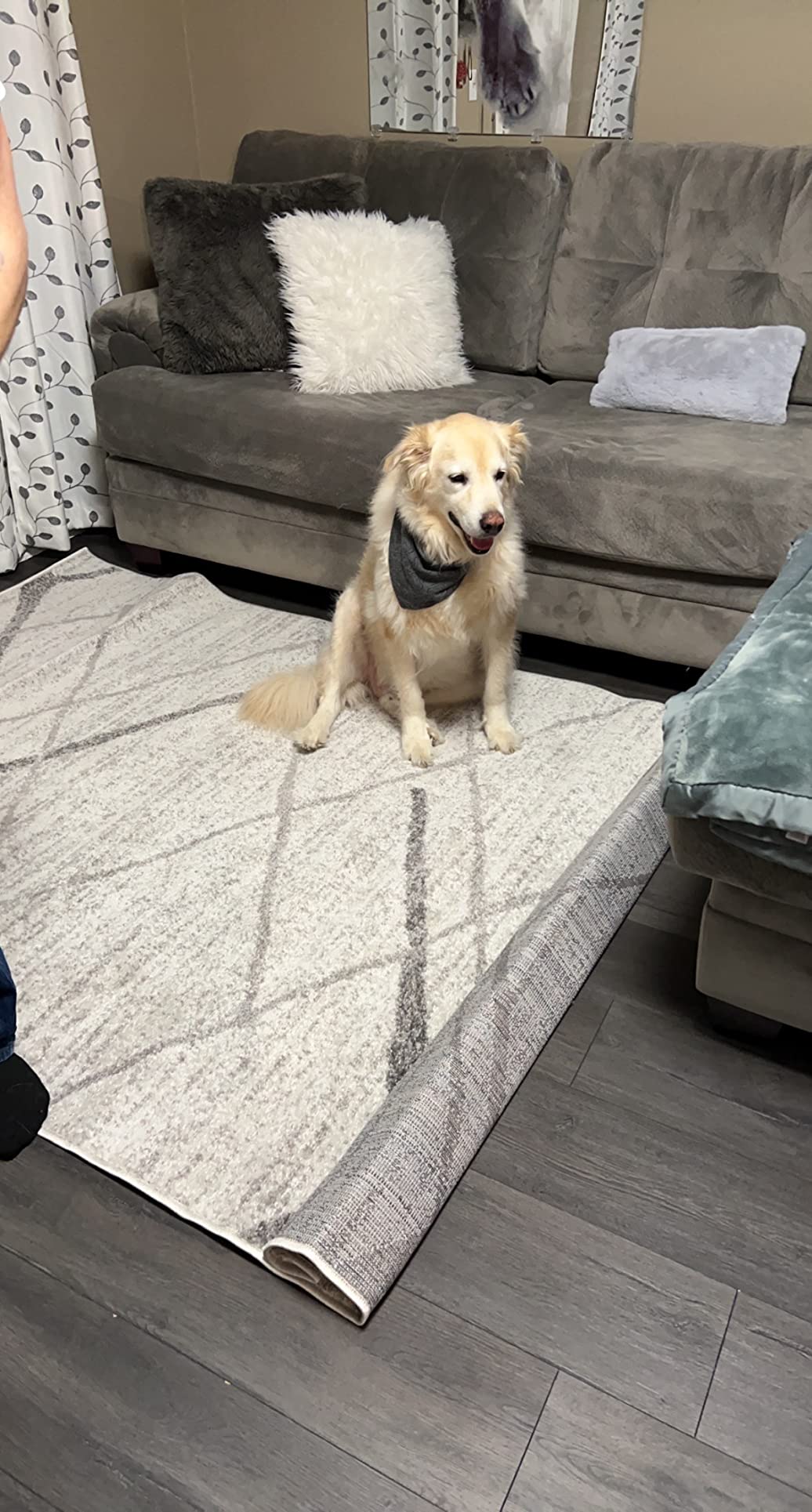 3/mo Finance nuLOOM Contemporary Thigpen Accent Rug, 2' x 3', Dark