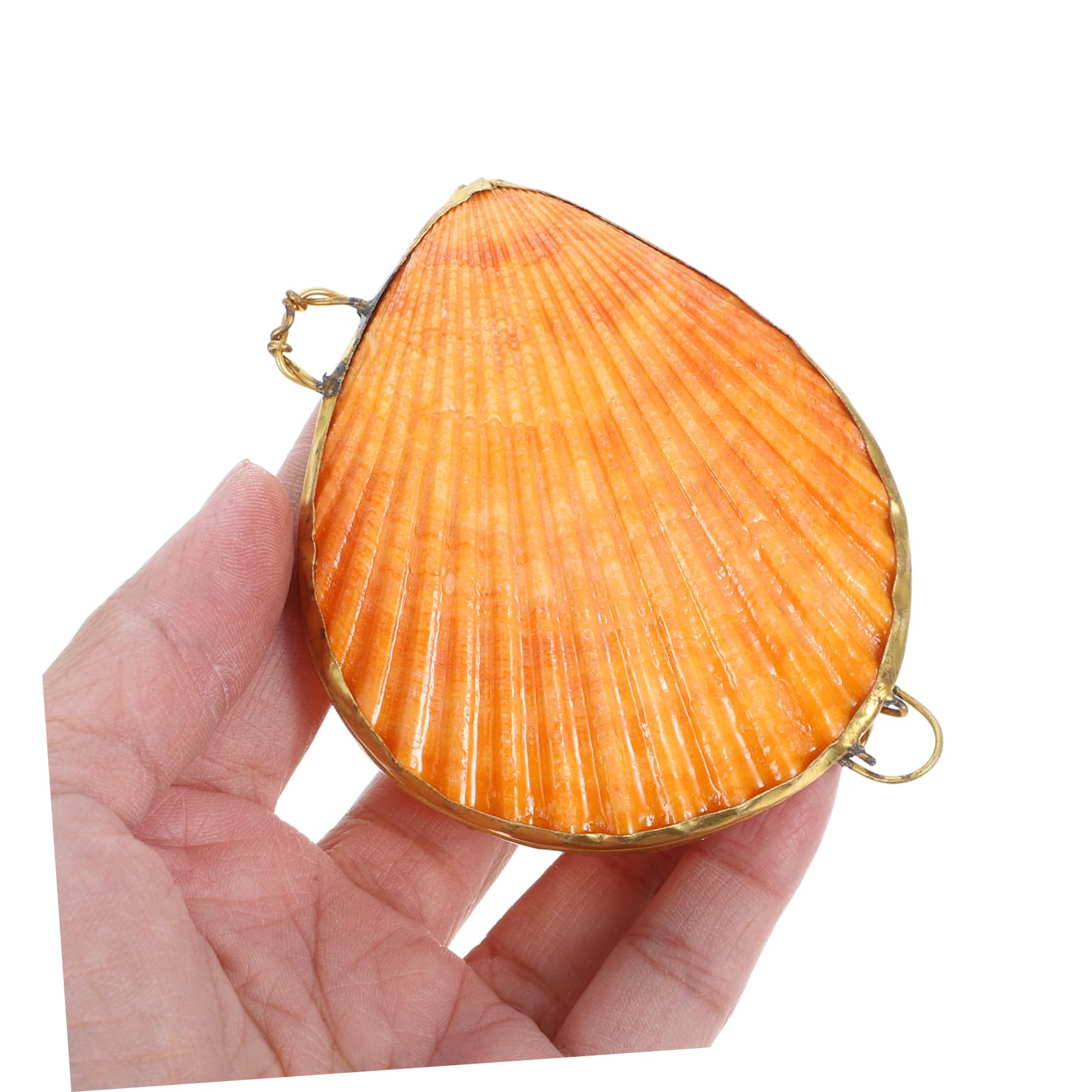 Homoyoyo Lot De 5 Boîtes De Rangement En Coquillages Petites Boîtes De Rangement Uniques Et Naturelles Ornées De Bijoux Plusieurs Petits Coquillages Organisateurs Couleur Aléatoire