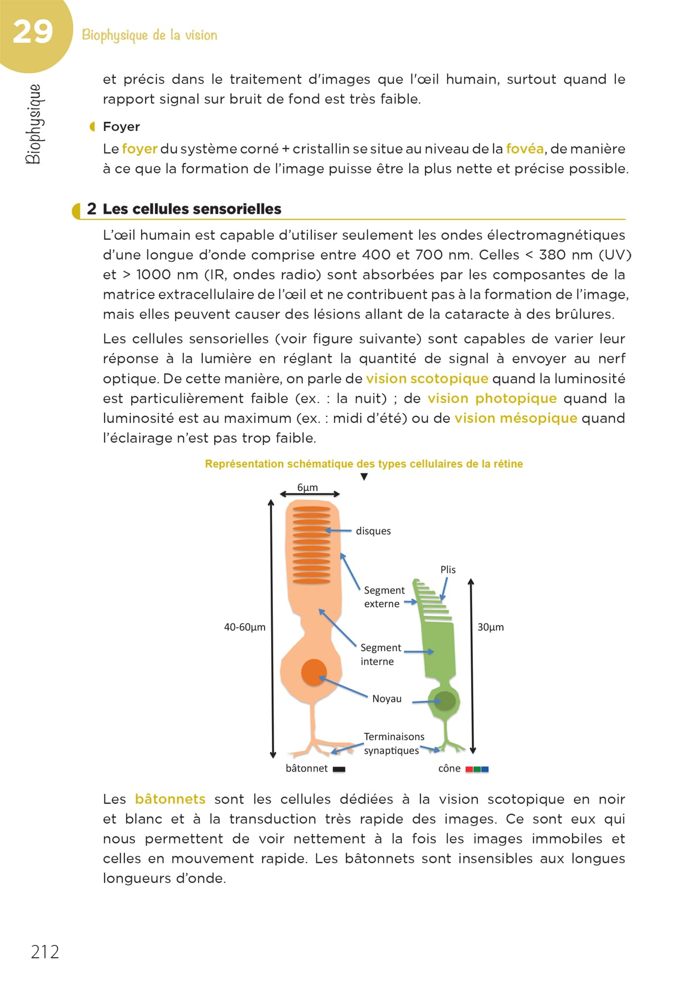 LAS - Licence Accès Santé - Tome 2