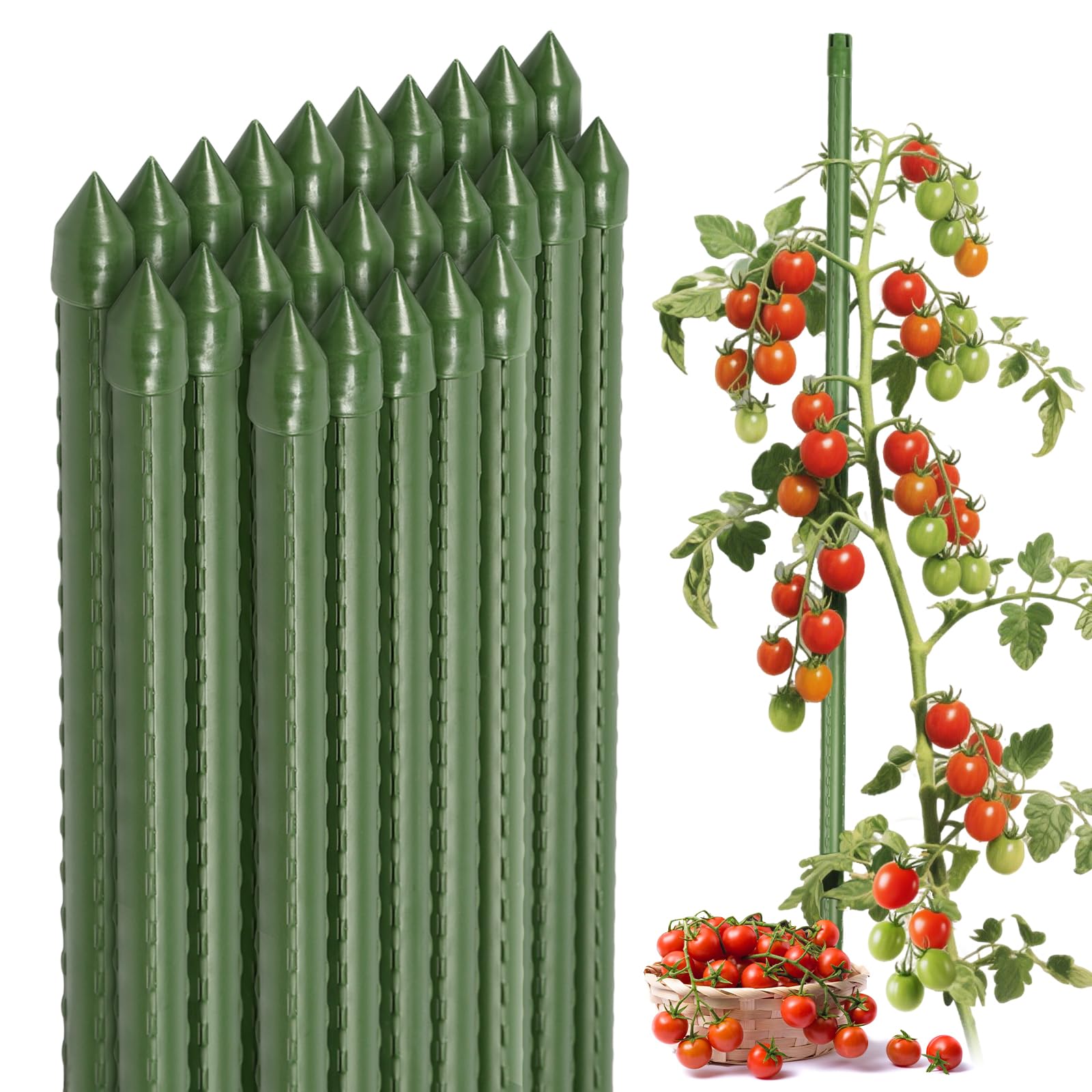 Sekey Tomaten Rankhilfe, Pflanzenstütze für Gurken, Bohnen, Himbeeren, Blumen, Kunststoff Beschichtetes Stahlrohr Rostfrei Pflanzenstäbe, 60 cm x 8 mm, 10 Stück