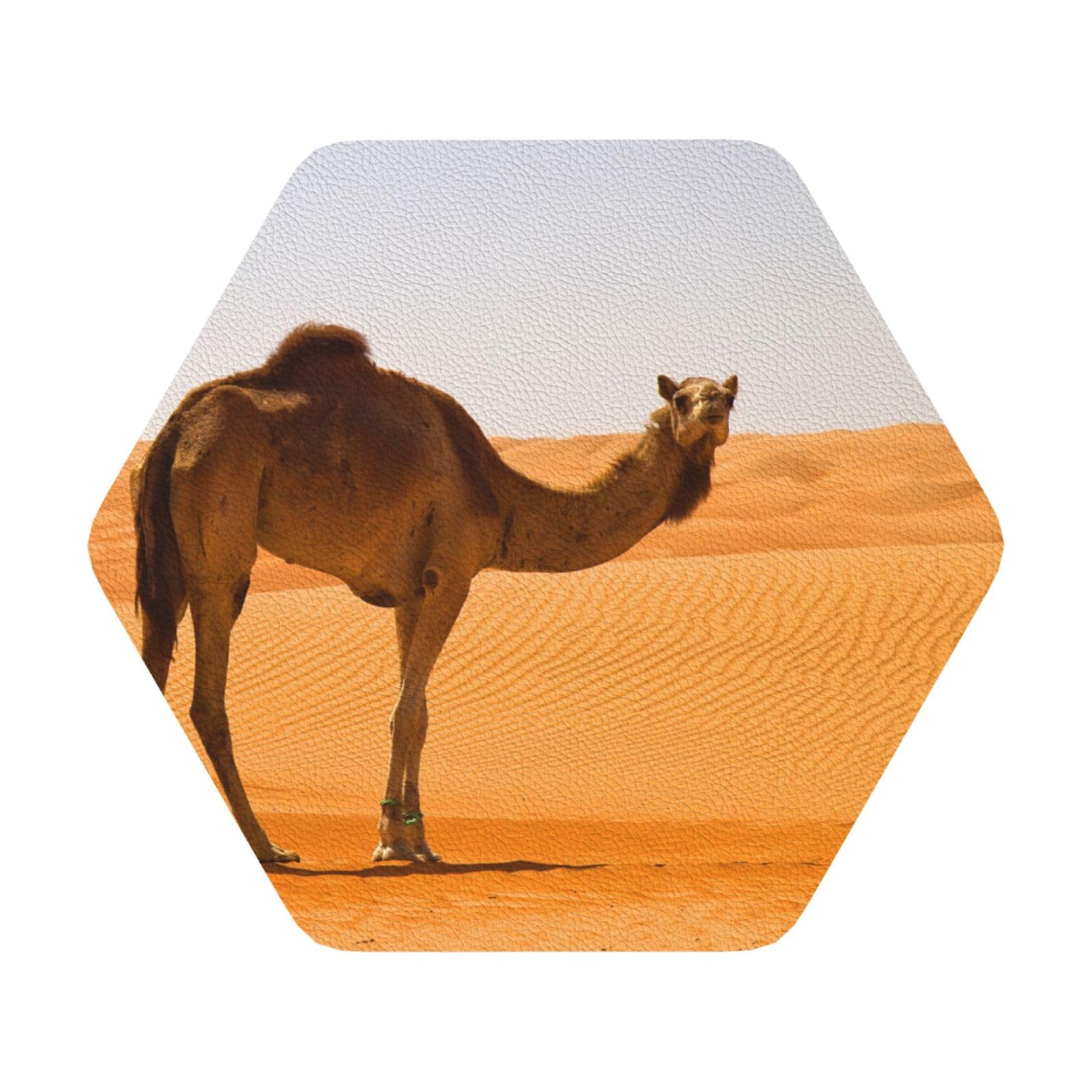 Desert Sand Camel PU Leather Coasters Set of 6 Hexagon Drink Coasters
