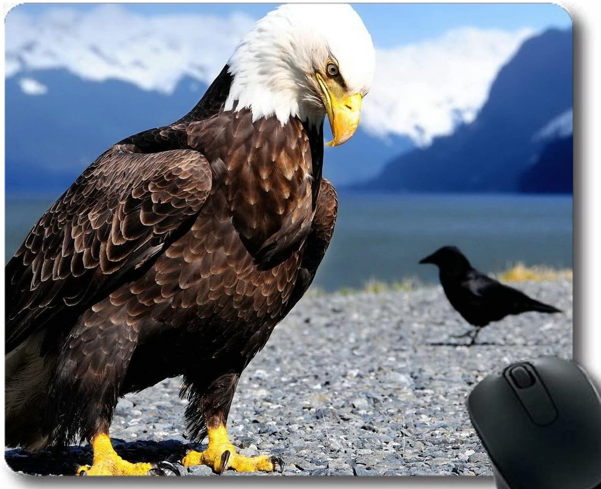 YENDOSTEEN Mouse pads,Eagle Raven Beach Gaming Mouse Mat Pad with Stitched Edges 260x210x3 MM