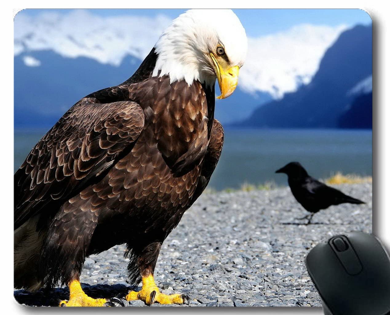YENDOSTEEN Mouse pads,Eagle Raven Beach Gaming Mouse Mat Pad with Stitched Edges 260x210x3 MM