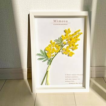 橋本花 絵画 花 インテリア ボタニカルアート 壁掛け 壁飾り 木製フレーム 橋本花 絵画 花 インテリア ボタニカルアート 壁掛け 壁飾り