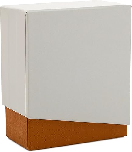 Miniatura 4 de Polaroid Originals Go - Paquete de cámara instantánea (blanco) con paquetes dobles de película y kit de PhotoBox (3 artículos)