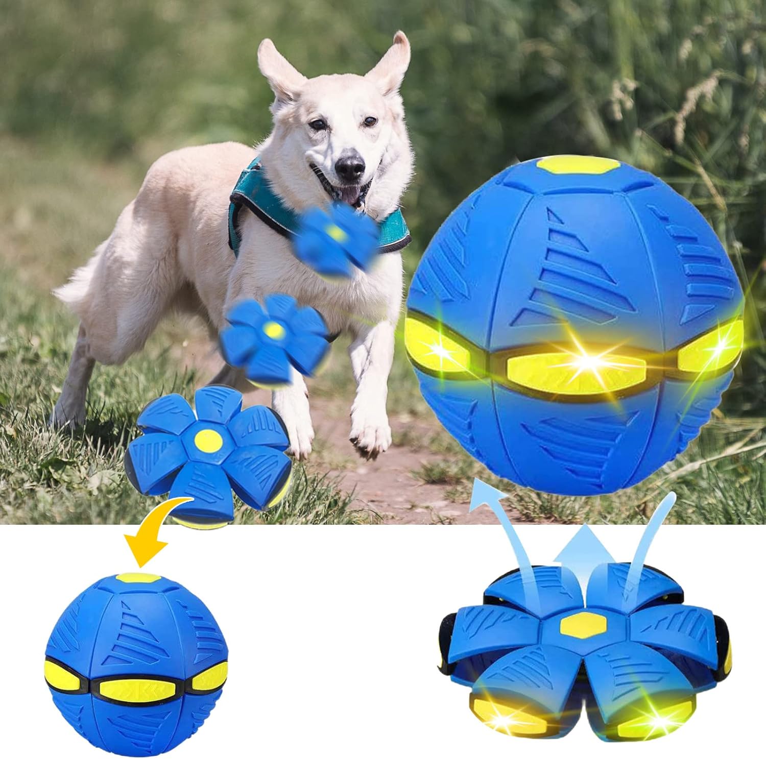 Pet Supplies 2023 Pet Toy Flying Saucer Ball Dog Toy Balls Flying