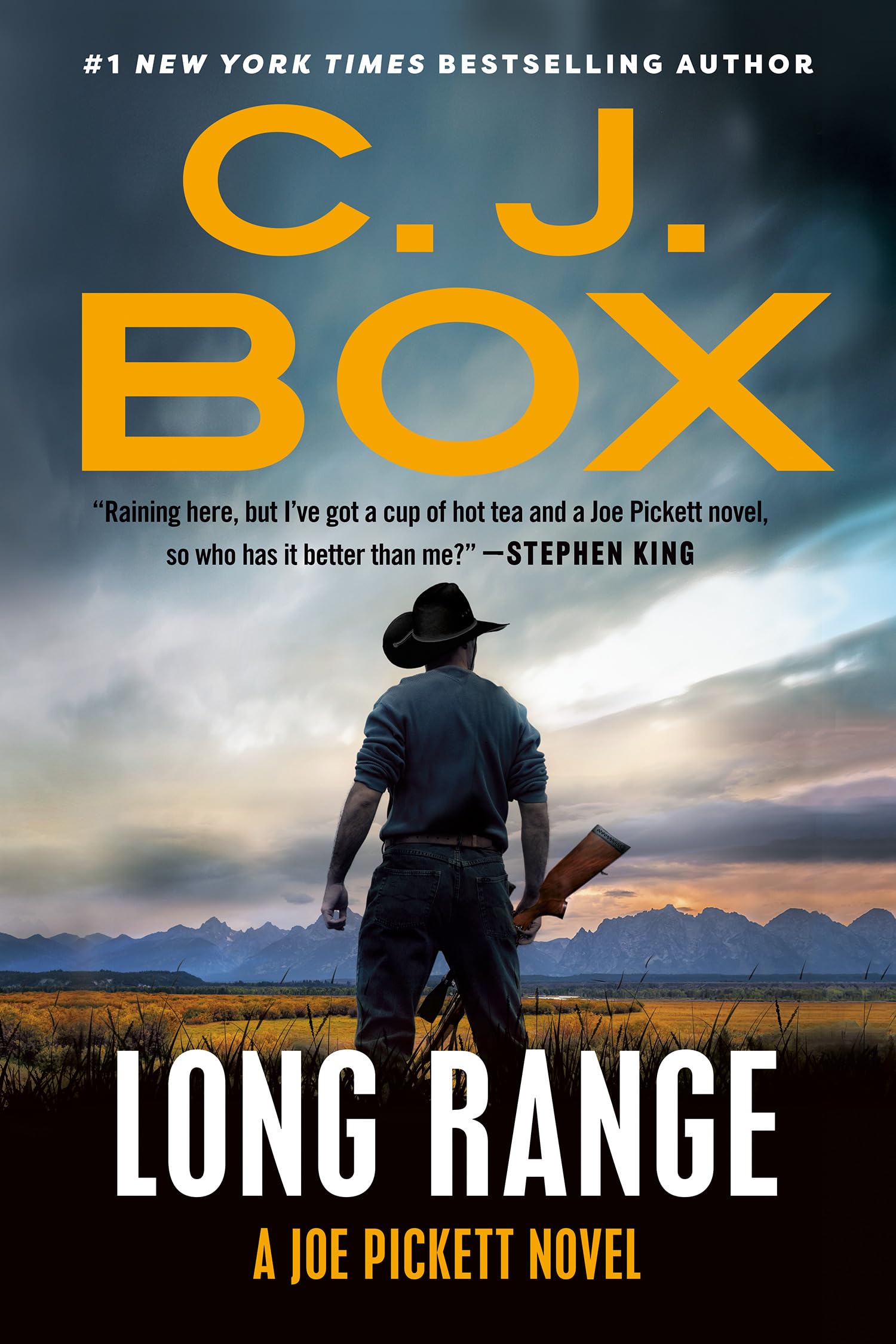 Long Range (A Joe Pickett Novel Book 20) Kindle Edition