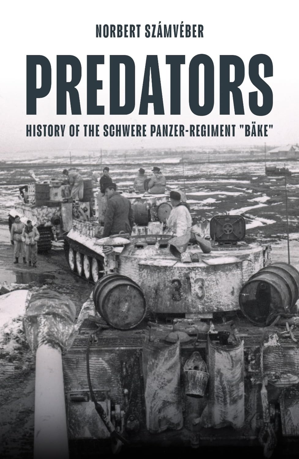 Predators: History of the schwere Panzer-Regiment “Bäke,” January–February 1944