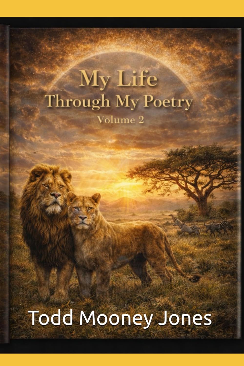 My Life Through My Poetry: Volume 2