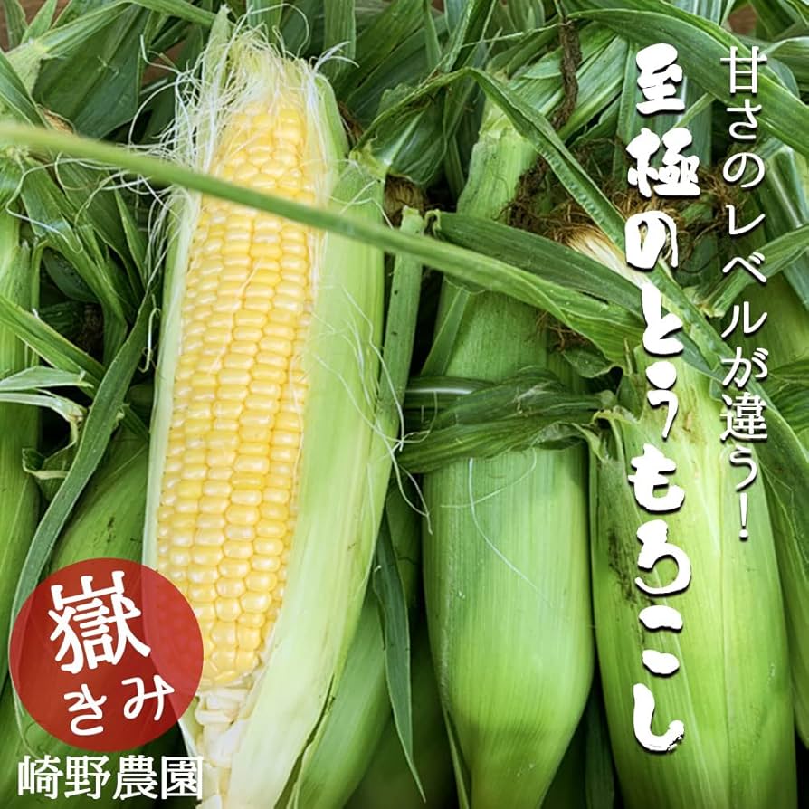 だけきみ 冷蔵)滝吉さんの嶽きみとうもろこし（だけきみ）サイズL‐2L