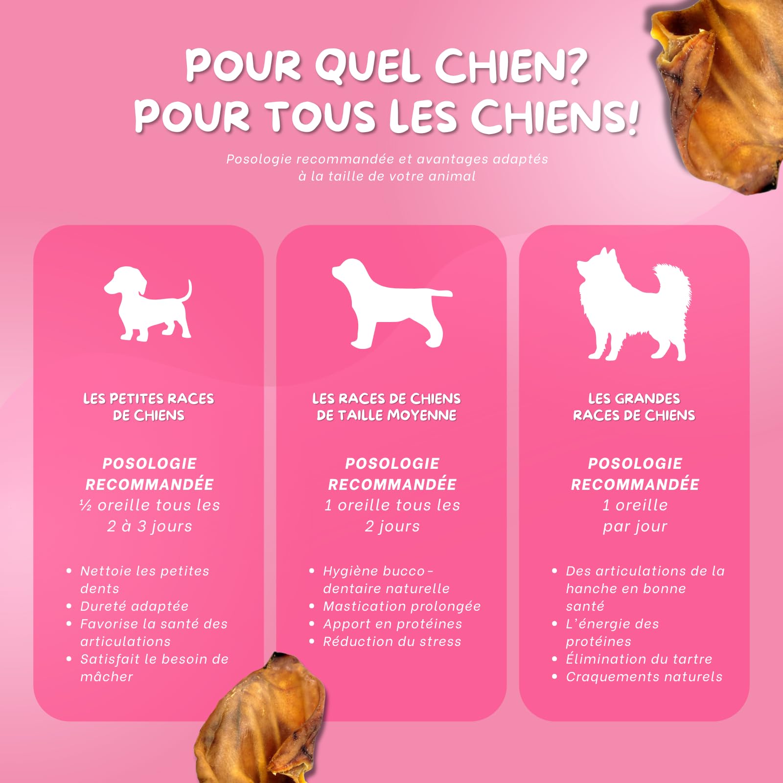 Oreilles de Porc pour Chien – Friandises pour Chien – 100% Naturels sans conservateurs ni additifs – Hygiène Dentaire, Réduction du Stress – Source collagène et protéines – 10 Pièces