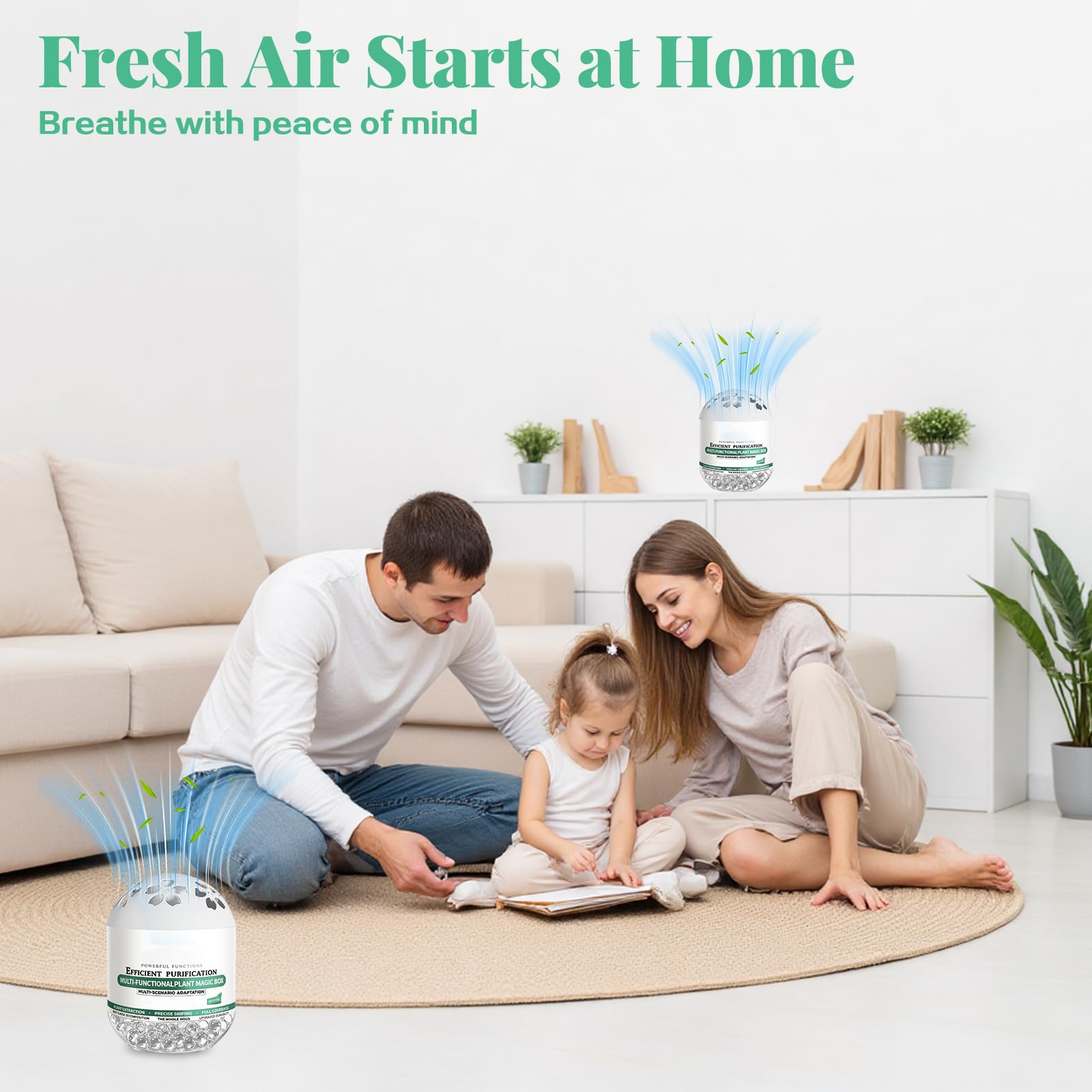 Paquete de 4 Caja Purificadora de Aire Multifuncional, Absorbente de Olores y Atrapapolvo para Interiores, Ambientador con Extractos de Plantas para Dormitorio, Salón, Coche
