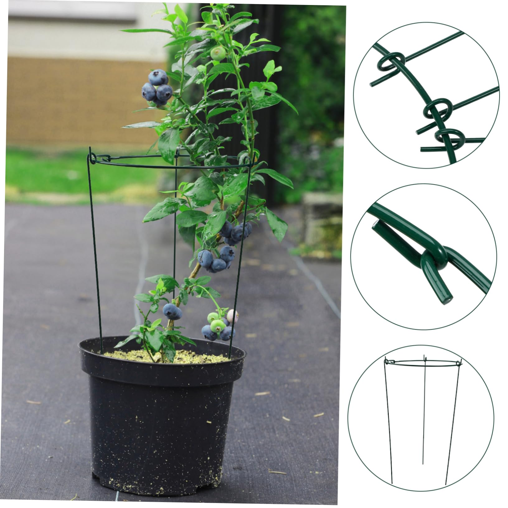 Lot De 3 Tuteurs pour Plantes Grimpantes Verts 25/40 Cm pour Jardin Et Intérieur, Supports Robustes en Fer Revêtu, Structure Compacte Et Détachable Adaptée Au Soutien Floral