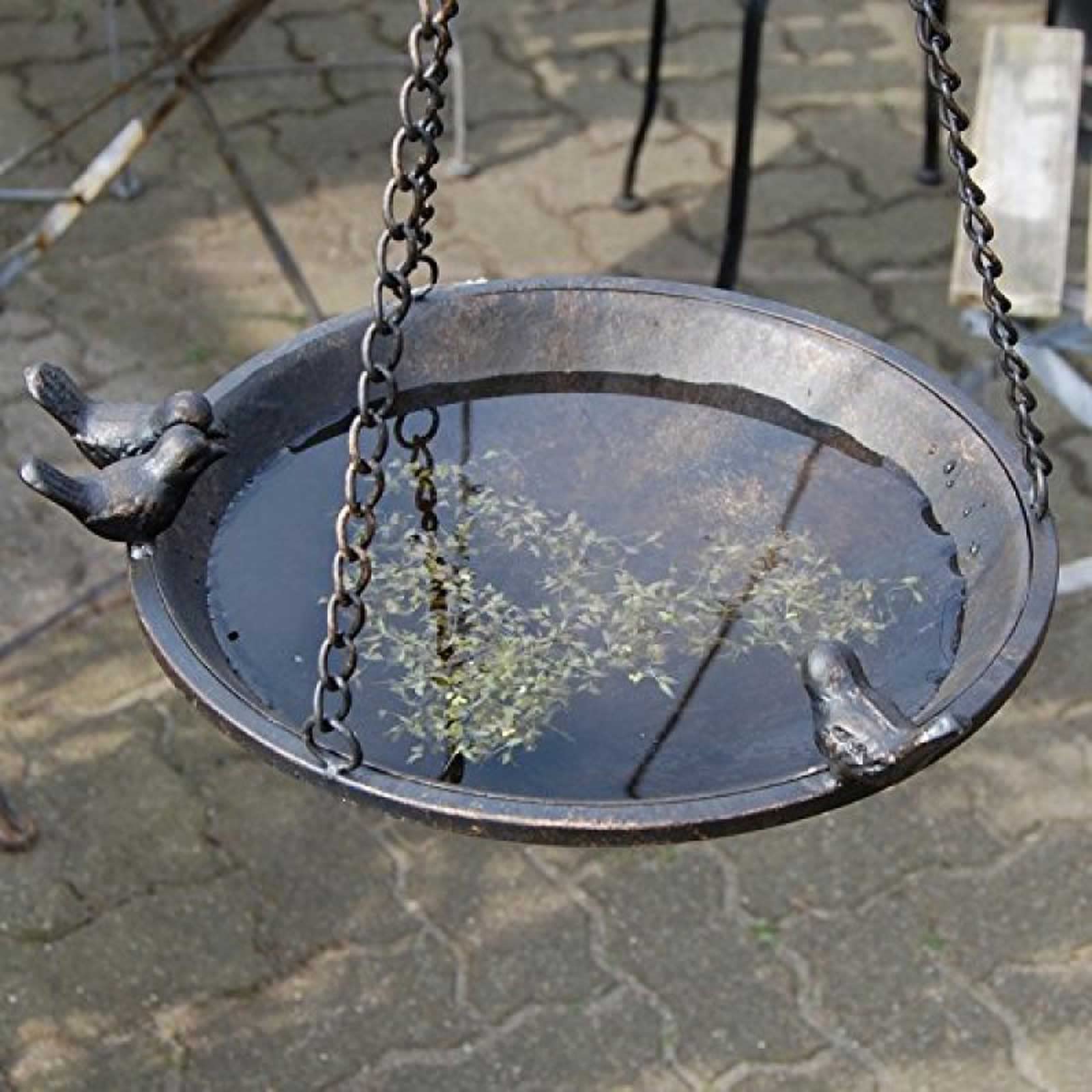 Bebedero para pájaros, pájaro tomada