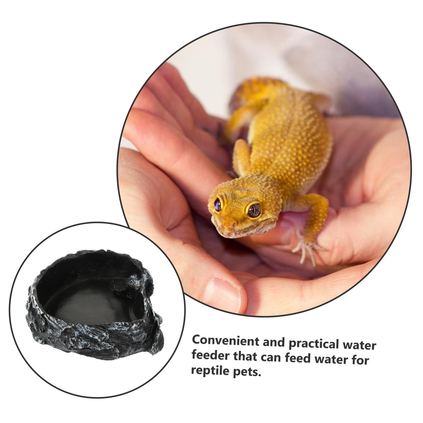 Ciotola Acqua Rettili Decorativa Antiribaltamento per Lucertole Tartarughe e Piccoli Rettili Alimentatore Stabile e Facile da Pulire per Terrario