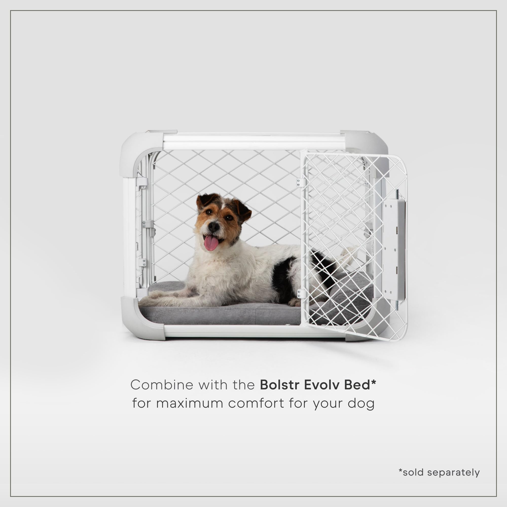 Amazon.co.jp: アメリカDIGGS PET [ALLFORWAN'sLIFE] 犬用 ケージ