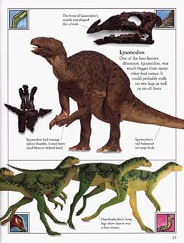 Big Book of Dinosaurs: DK Publishing: 8601404326851: Amazon