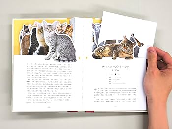 ねこページ 楽天市場】障子 アニマル デザイン障子紙 猫の巻 猫図鑑