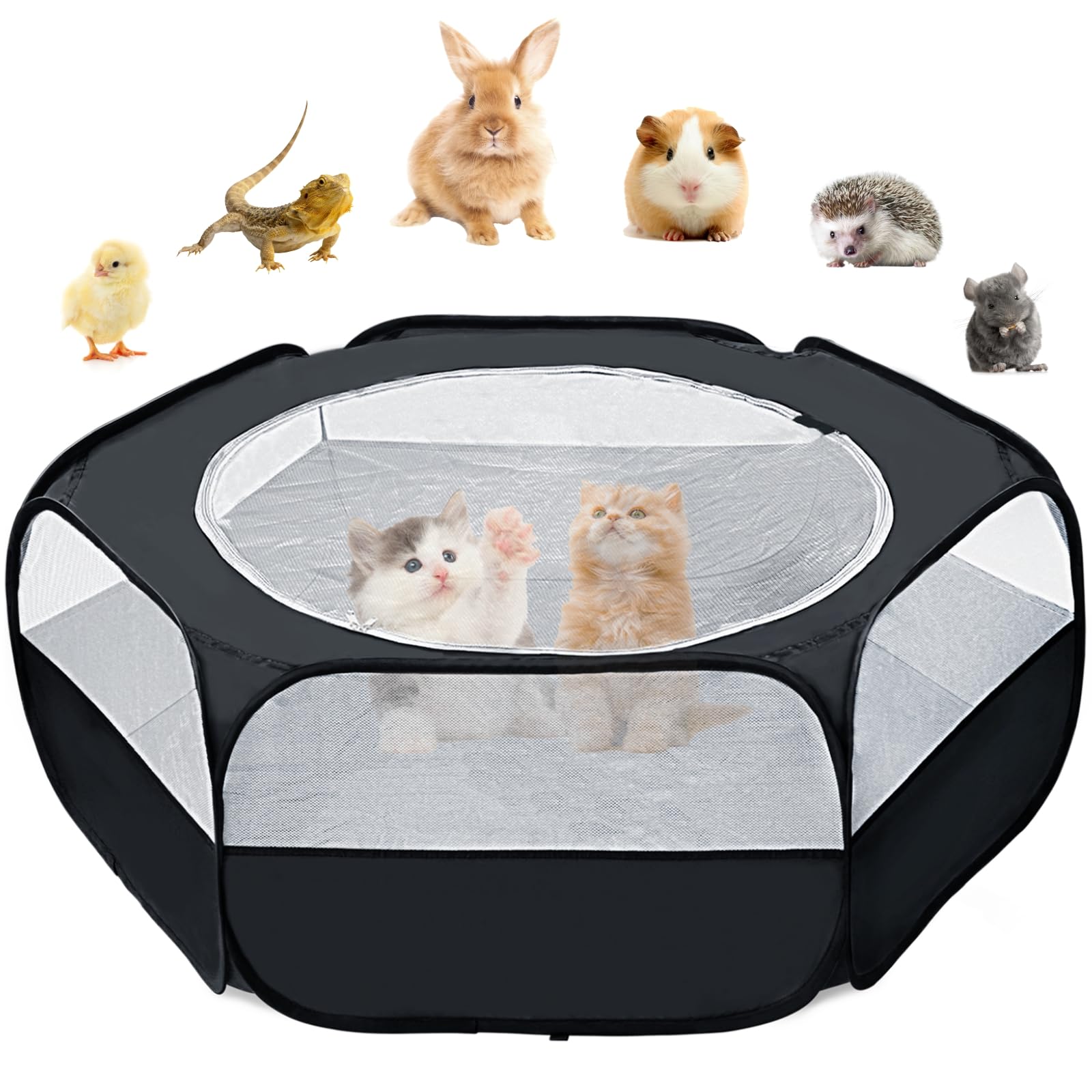 Tente portable de jardin pour chaton et cochon d'Inde, parc d'exercice extérieur étanche