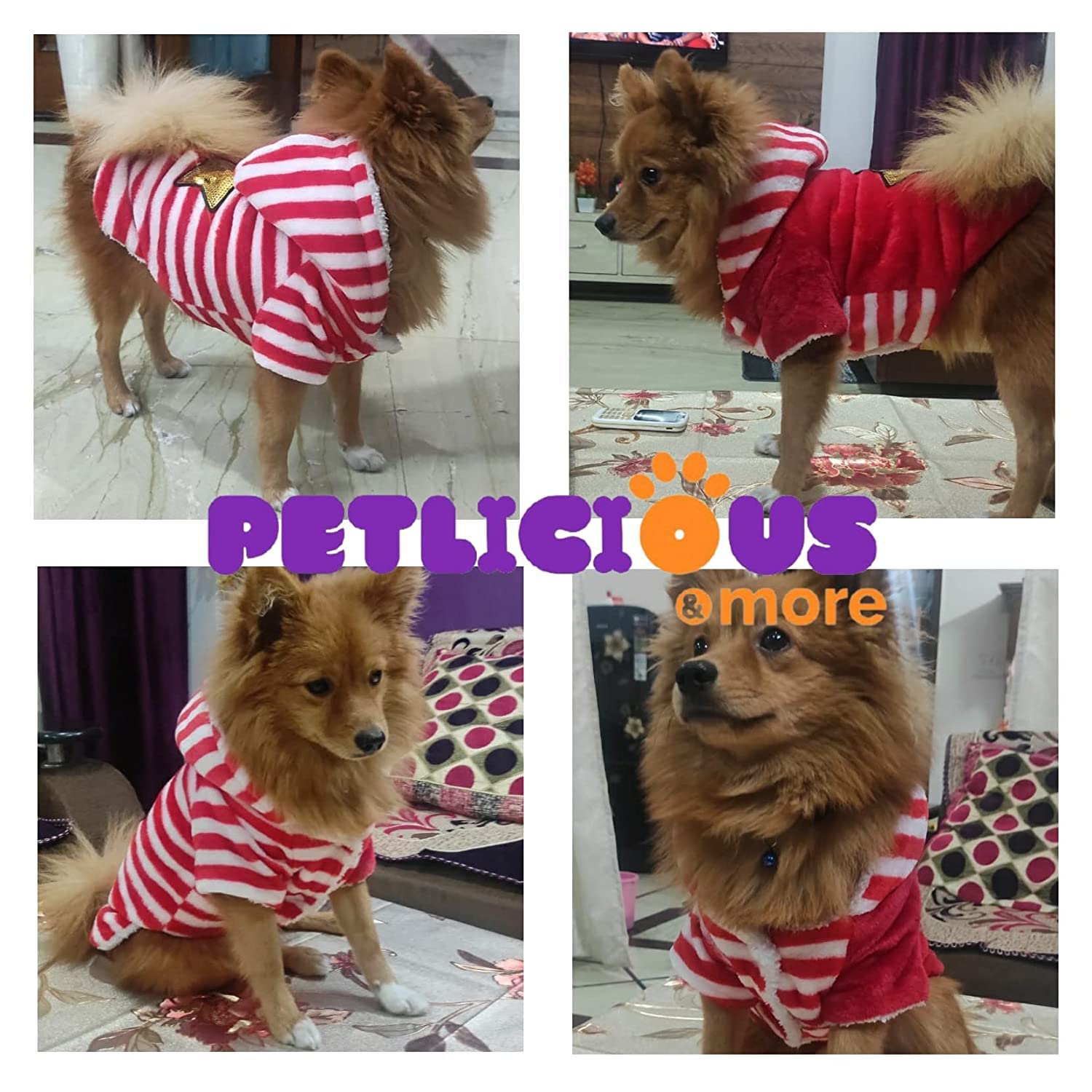 Petlicious & More® Design - Star Dogs Winter Hoodie for Dogs, Soft Fleece Puppy Clothes Doggie Shirt Winter Outfits Sweatshirt for Small Dogs, Puppies & Cats (Size - 14 Inches, Color - Red) 4