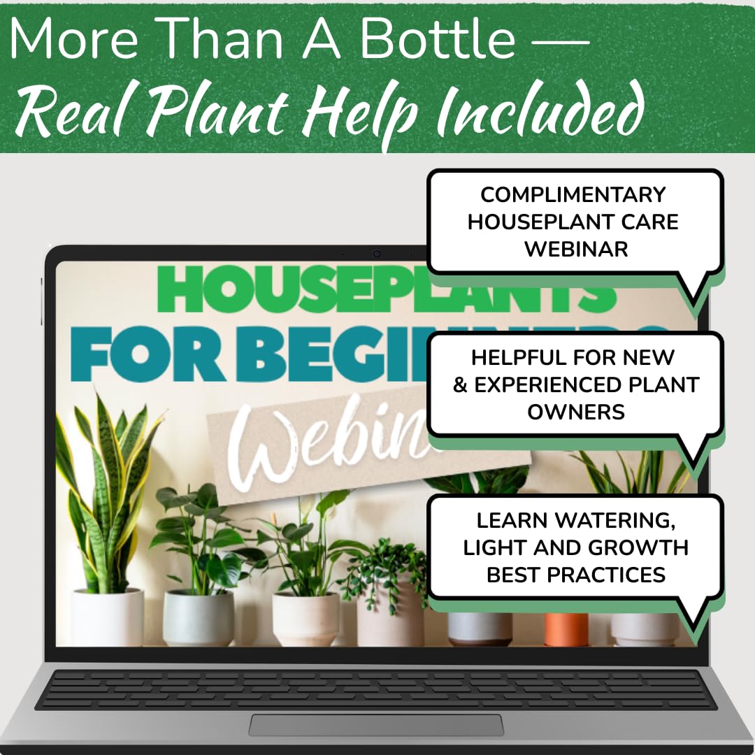 Konewka ze stali nierdzewnej do roślin doniczkowych od Houseplant Resource Centre, pojemność 1 l, do roślin wewnątrz/na zewnątrz, ze szczotkowanego złota