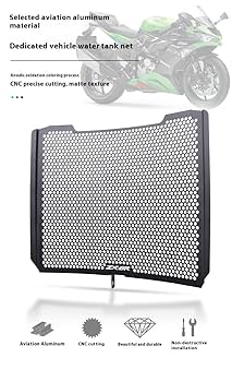 Amazon.com: ZX-6R 2025 Radiator Guard Protective Cover