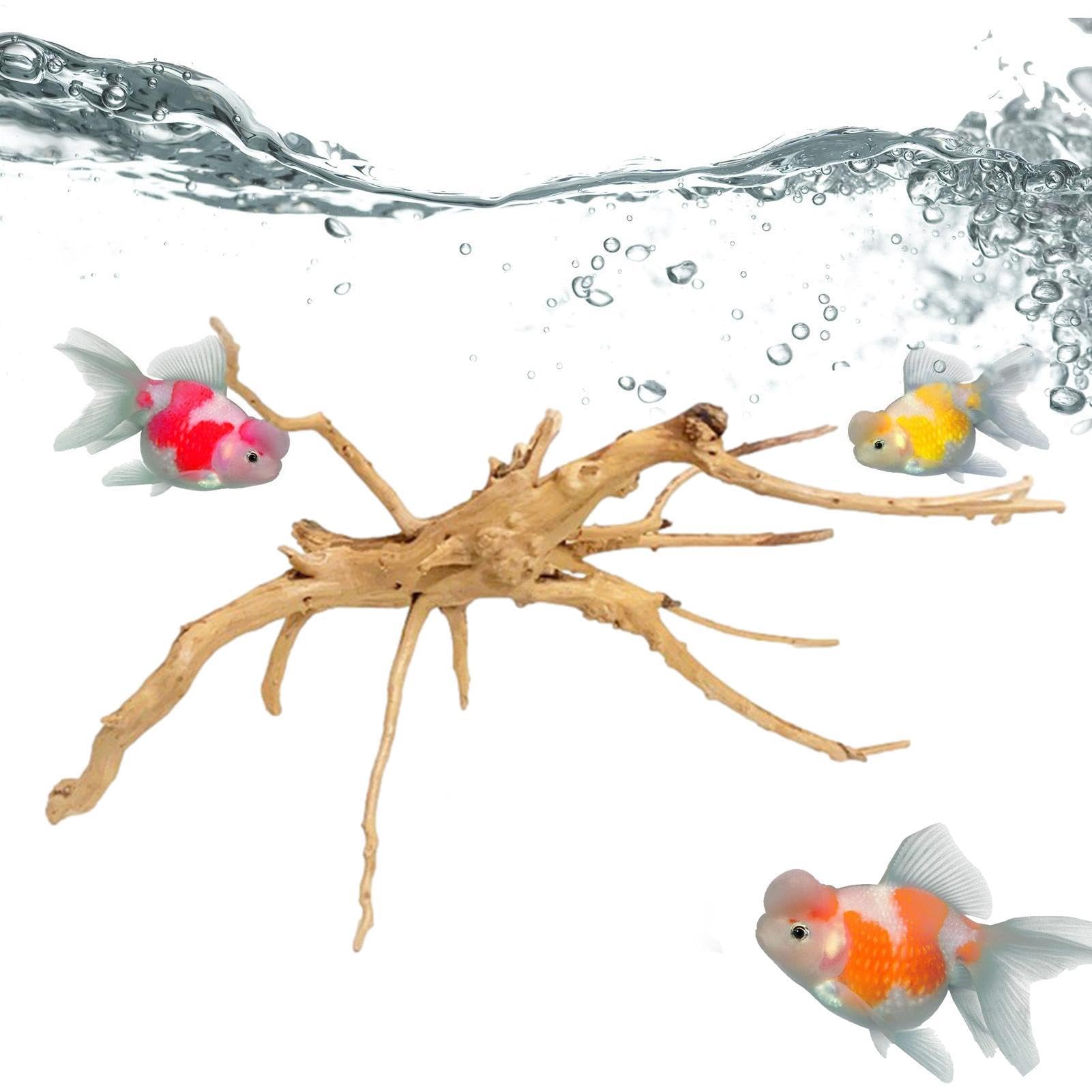 Ruote A Motore Elettriche Ossidano L'acqua In Un Serbatoio Di Pesci E Gamberetti Indonesia Allevamento Artificiale Animali Marini 163742118 - Foto 3