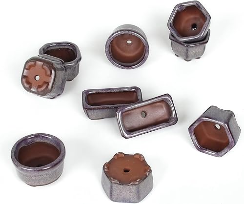 Miniatura 4 de Maceta Bonsai Suculenta 1.8"(4.5cm) 10 Mini Macetas Esmaltadas