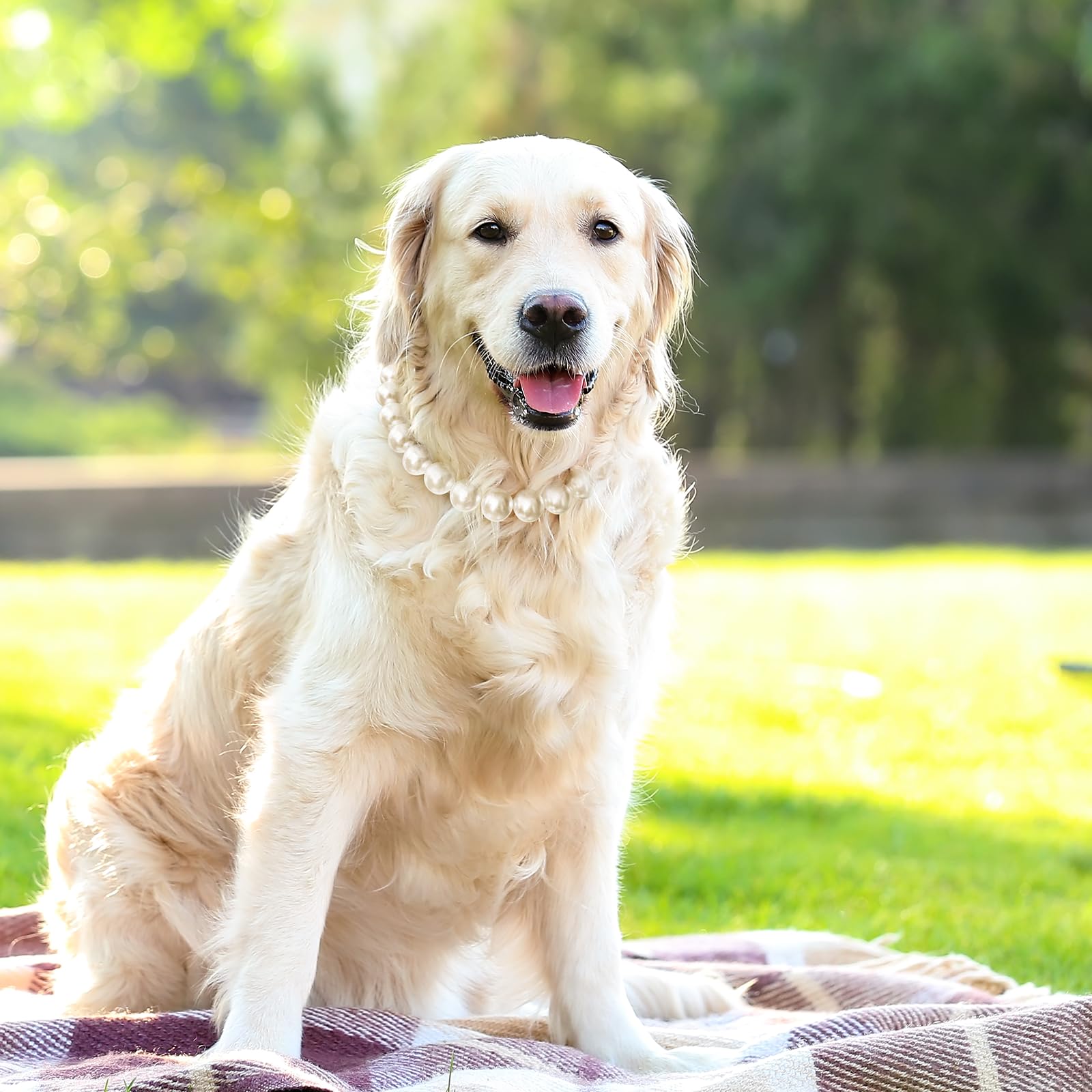 Kudes Exquisite And Adjustable Dog Necklace Elegant Classic Pearl