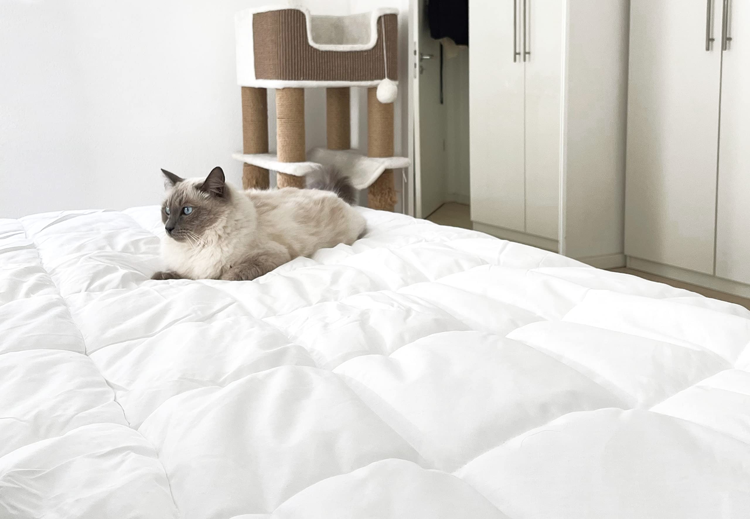 ZOLLNER Edredón nórdico para Cama de 80-90 cm, 400 g/m², Dos Capas de 550 g