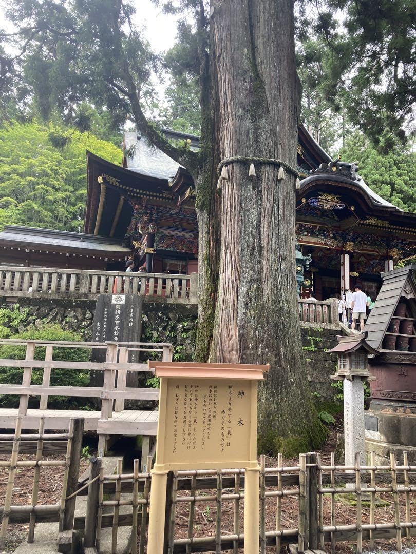 Amazon.co.jp: Power Spot Chichibu Mitsumine Shrine Crystal Amulet