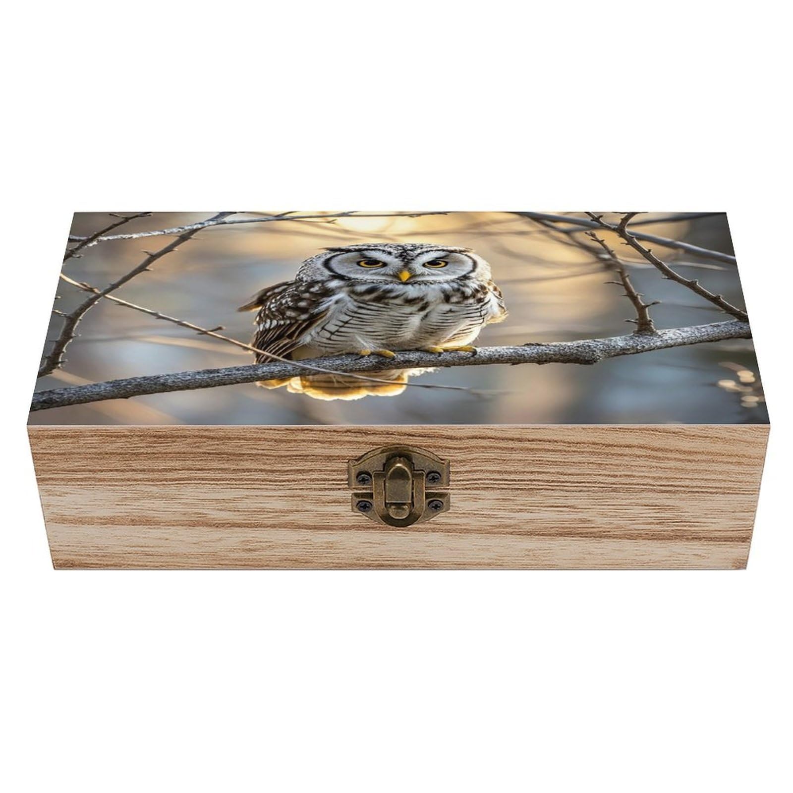 LZQPOEAS Owl on A Branch Wooden Box Storage Space to Organize Jewelry in A Beautiful Small Storage Box Decorative Card Boxes Memory Treasure Boxes for Crafts And Photo Storage