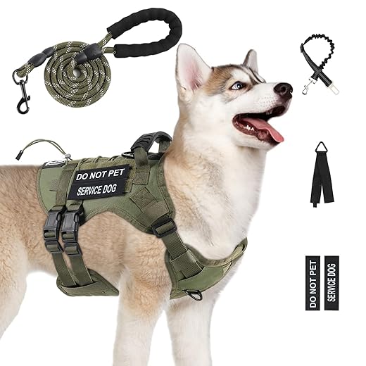 No Pull Tactical Dog Harness for Large Dogs, Escape Proof Molle Dog Vest Harness and Leash Set, Adjustable Military Service Dog Harness with Handle for Medium Large Dogs(Green, M)