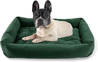 MISIOO Hundebett Kleine Hunde 75x55cm Grün - Waschbares und Bequemes Hundebett für Hunde - Komfortables und Pflegeleichtes Dog Bed für Kleine Haustiere - Ideal für den Täglichen Gebrauch Pet Zen product image