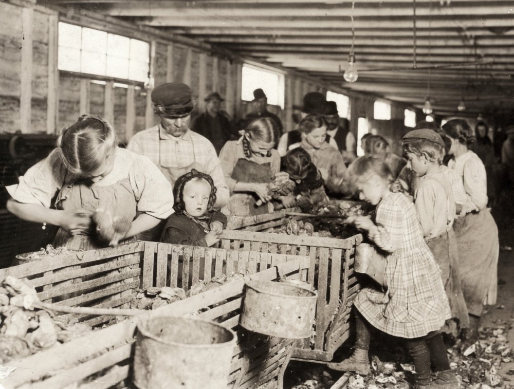 Hine Oyster Shuckers 1911 Nyoung Boys And Girls Working Alongside Men