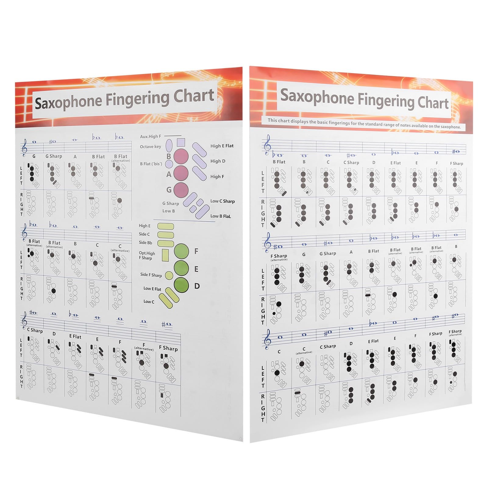 Tableau de Doigté de Saxophone, Guide de Base avec Diagrammes D'accords Universels, Papier Couché Portable, Stockage sur Tube de Papier Long