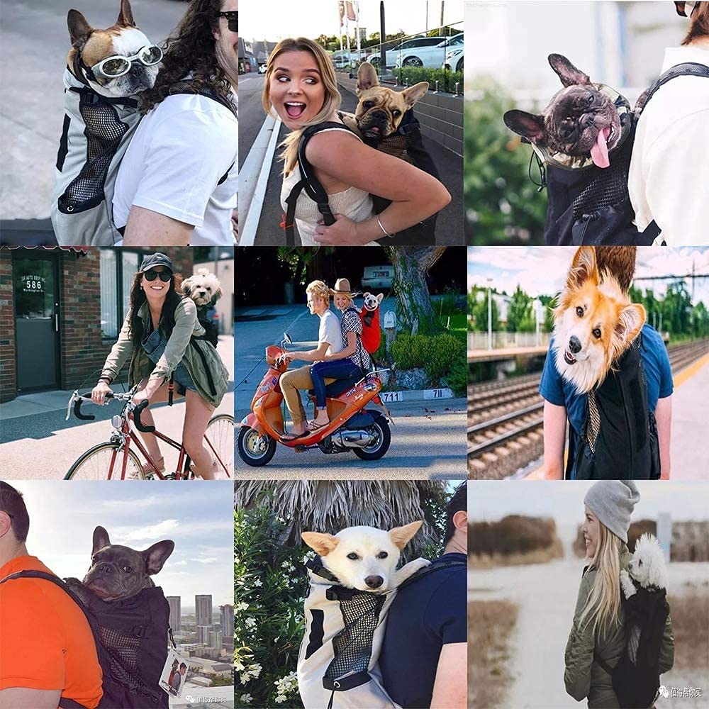 Confortevole Borsa per Cani Zaino per Cani E Gatti per Outdoor Escursione Pieghevole per Viaggio in Treno Trasportino per Animali Domestici