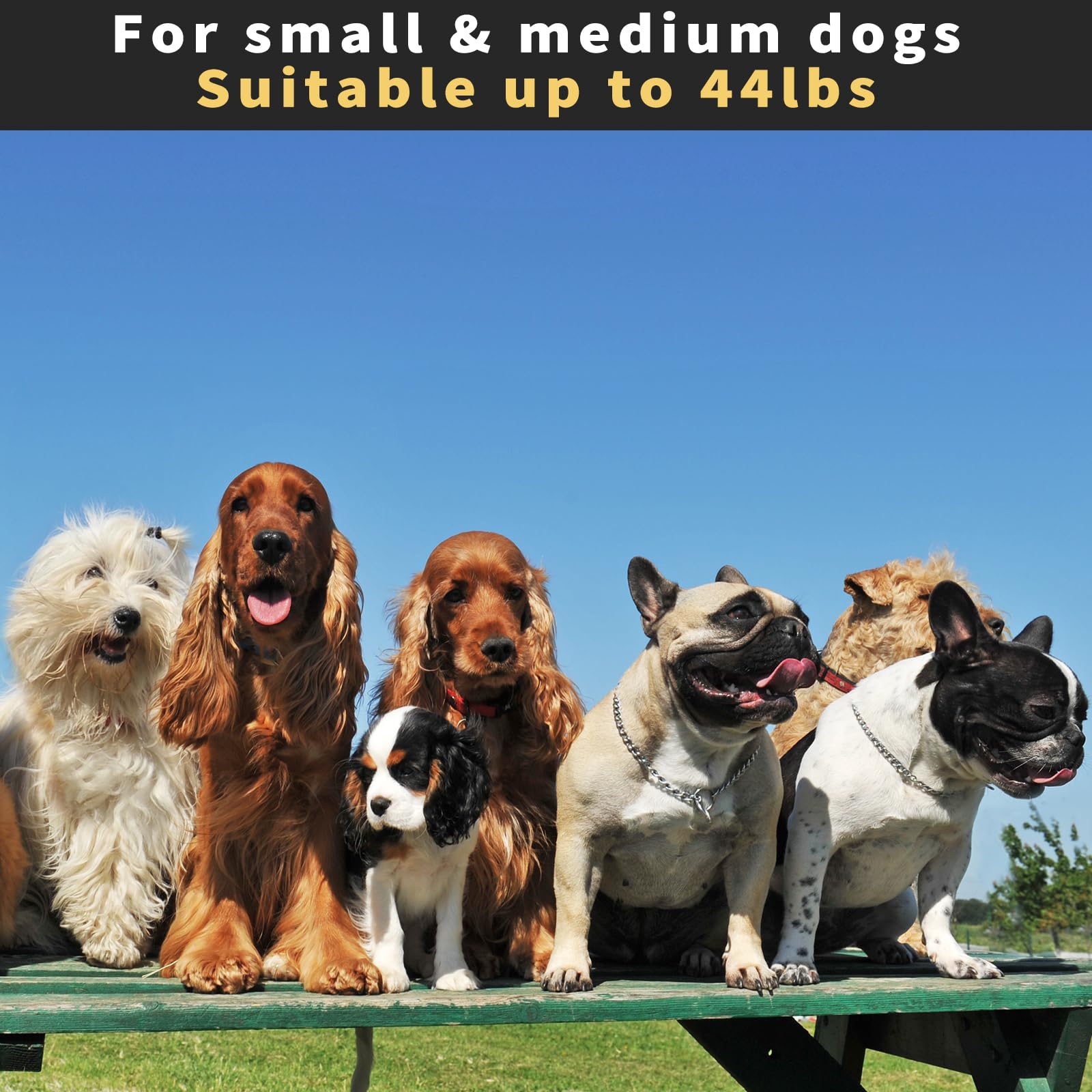 5m Retractable Dog Lead for Small Medium Dogs up to 25kg, black, 16.4 feet - Image 2